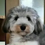 oguroの画像