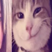 ねむねむちゃんの画像