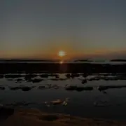 こーの画像