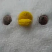 ebimayoの画像