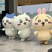 ぴーちゃん※プロフ参照の画像