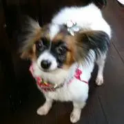 年子mama