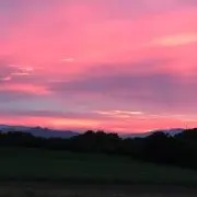 untaの画像