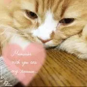 くれあの画像