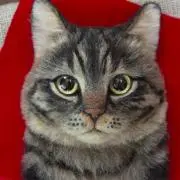 まみ