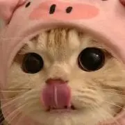れんえもん¨̮⃝の画像