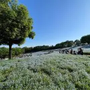 あお【プロフ確認の上ご購入ください】の画像