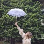 京の画像