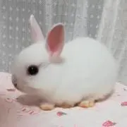 にゅん