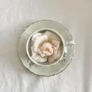 su-.の画像