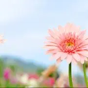 ゆう