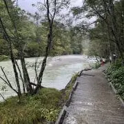 Kouの画像