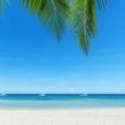 わくわくショップの画像
