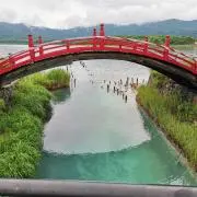 質素倹約家