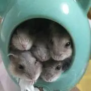 ともちゃん♡