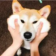 まる