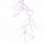 TTの画像