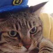 おーちゃんの画像