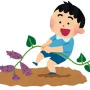 Cの画像