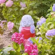 Cocoの画像
