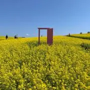あの画像