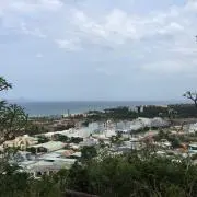 あつの画像