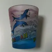イルカみさ68の画像