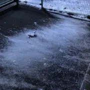 つるりん