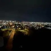ノコノコの画像