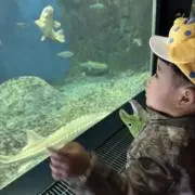ひらた