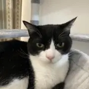 くーちゃんの画像