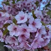 ☆★【プロフ必読でお願いします^^】の画像