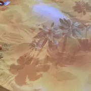 リラフワの画像