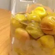 てんこの画像