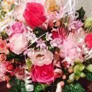 えむ♪プロフ必読