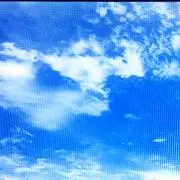 Yの画像