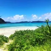 mの画像
