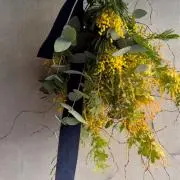 dolinaの画像