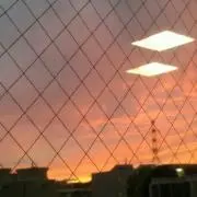 ぱっぽんの画像