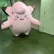 ピッピの画像