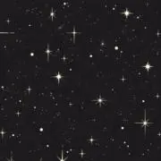 プロフをご確認ください✴︎の画像