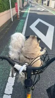 yukiの画像