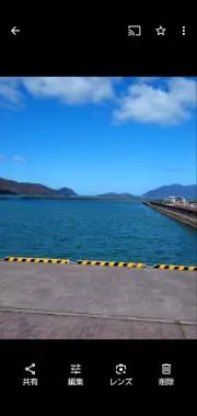 コーギーの画像