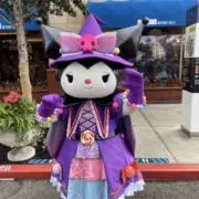 KUROMIの画像