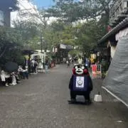 吹雪の画像