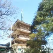 禅の画像
