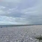 りんの画像