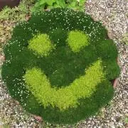 じゅんの画像
