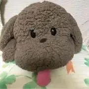 ＊即購入大歓迎の画像