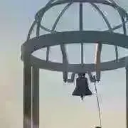 poyoの画像